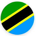 selected_icealion_logo
